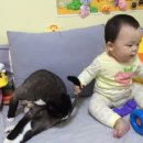야호PC 이미지