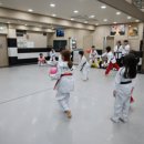 경희대인성태권도 이미지