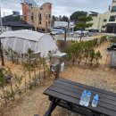 장호비치캠핑장 | 장호비치캠핑장 c3후기