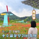 공예교실 | 2026 원주 용수골 꽃 양귀비축제 주차장 기본정보 일정