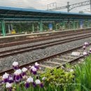 대구파동우체국 이미지