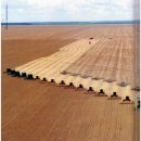 주)진농장 이미지