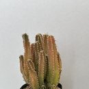 희연농장 이미지