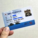 비 오는 날 저동항에서 독도 다녀온 후기