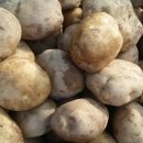 오대산 반찬 이미지