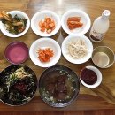 함평 기각리붉가시나무자생북한지 이미지