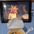 케이씨지글로벌