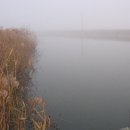 교동멧돼지 이미지