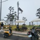 제이제이서프 네이버블로그