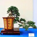 중화고등학교 이미지