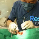 투명한치과 네이버블로그