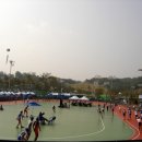 인라인경기장 이미지