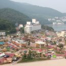 학동 Daum카페