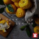 고흥공구
