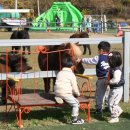 늘푸른농원 이미지