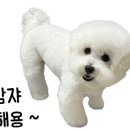 방배천로 17 이미지