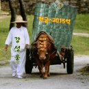 부자되세요