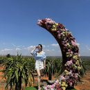 둘만농장 이미지