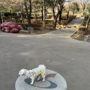 원신근린공원 (1) 이미지