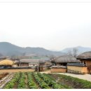 감천목장 이미지