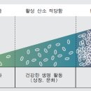 산소로 이미지