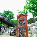 삼남매와 뭉치네 캠핑장 | 삼남매와 뭉치네 캠핑장 후기 0619~21