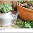 산들민박 티스토리