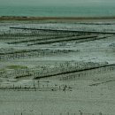 서나라농장 이미지