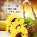 만보