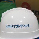 (주)디앤에이치