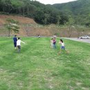 더숲캠핑장 이미지