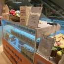 행복한빵세상 | 울산 롯데백화점 두바이쫀득쿠키 팝업 솔직후기 +옥수수 소금빵 | 7개월 아기랑