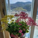 보톡스앰플 한셋트사시면 저분자히아루론산 드려요 이미지