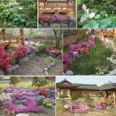 버스정류장 : 나무와중학교앞 이미지