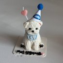 뽀미 | [광주 진월동] 강아지 생일케이크 수제간식 추천 ‘뽀미까까’ | 내돈내산 주문 제작 케이크 후기