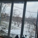 성립농장 이미지