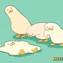 태권도맛집 이미지