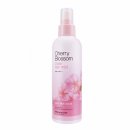 블라썸페이스(blossom face)