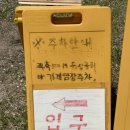 연어집 언양점 | 울산 언양 데이트 하기 좋은 연어 맛집 연어집