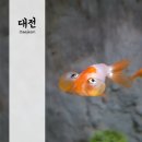 세븐일레븐 대전보문산점 | 아기랑 대전 아쿠아리움 + 광천식당 포장 후기