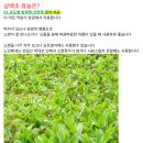 삼백초한의원 | 요서겐정으로 삼맥요법 시도해본 후기