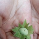 갈현초등학교 이미지