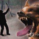 박씨축산 이미지