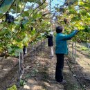 재난안전과 이미지