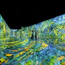 아르떼뮤지엄 이미지