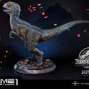 베이비프라임 이미지