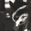 백산동물병원 이미지