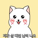 리얼파워점프점핑&찜질