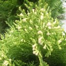 한우리교회 이미지