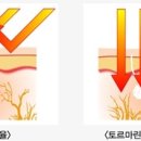 울주참가정문화원 네이버블로그